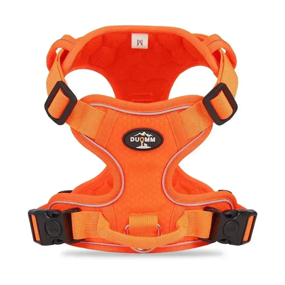 Reflective Dog Vest Harness – Safe Night Walking Gear - Petmartopia