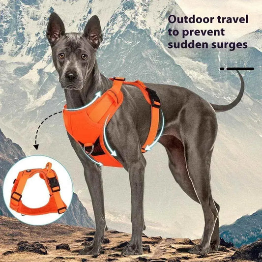 Reflective Dog Vest Harness – Safe Night Walking Gear - Petmartopia