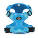 Reflective Dog Vest Harness – Safe Night Walking Gear - Petmartopia
