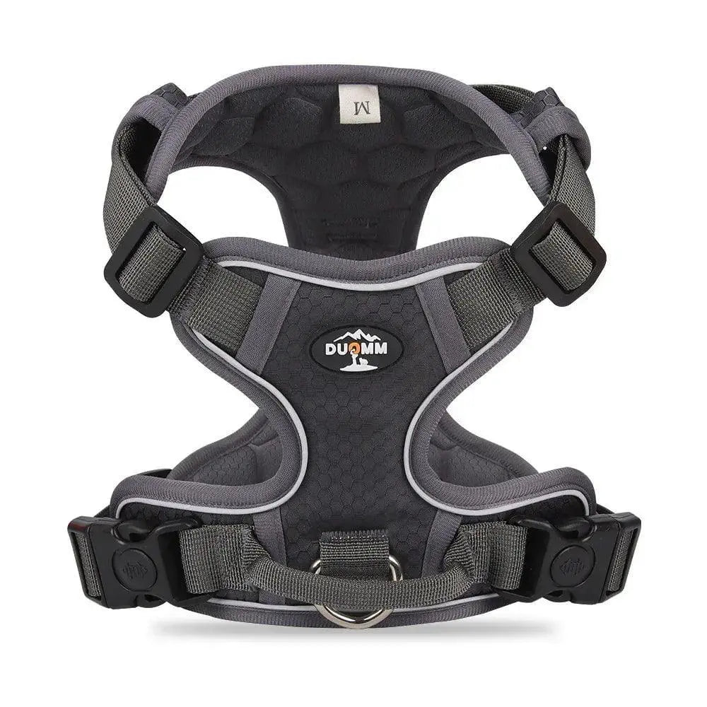 Reflective Dog Vest Harness – Safe Night Walking Gear - Petmartopia