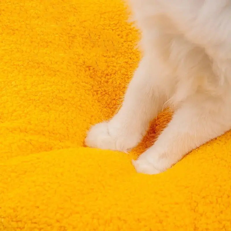 Semi Enclosed Comfortable Cat Nest: Petmartopia Orthopedic - Petmartopia