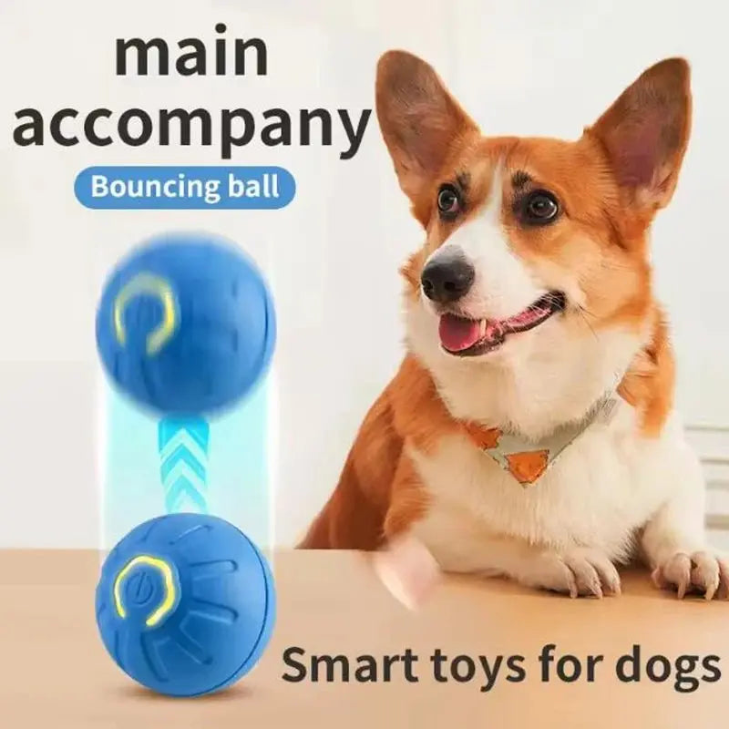 Smart Interactive Self - Moving Dog Toy - USB Rechargeable - Petmartopia