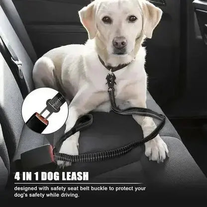 Tactical Bungee Dog Leash – Shock Absorbing Control - Petmartopia