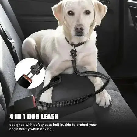 Tactical Bungee Dog Leash – Shock Absorbing Control - Petmartopia