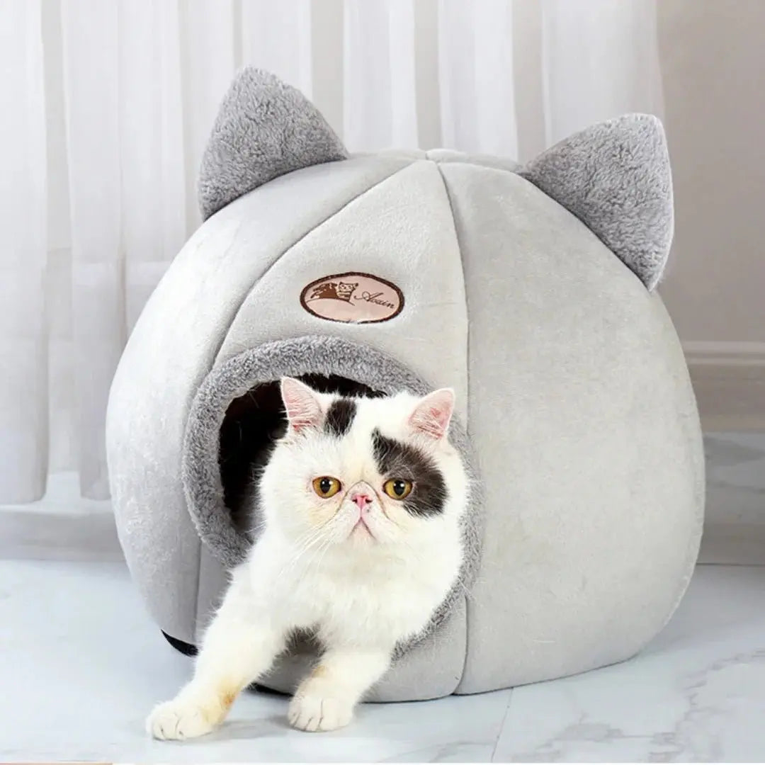 Washable Orthopedic Cat Bed - Machine Washable Plush Comfort - Petmartopia
